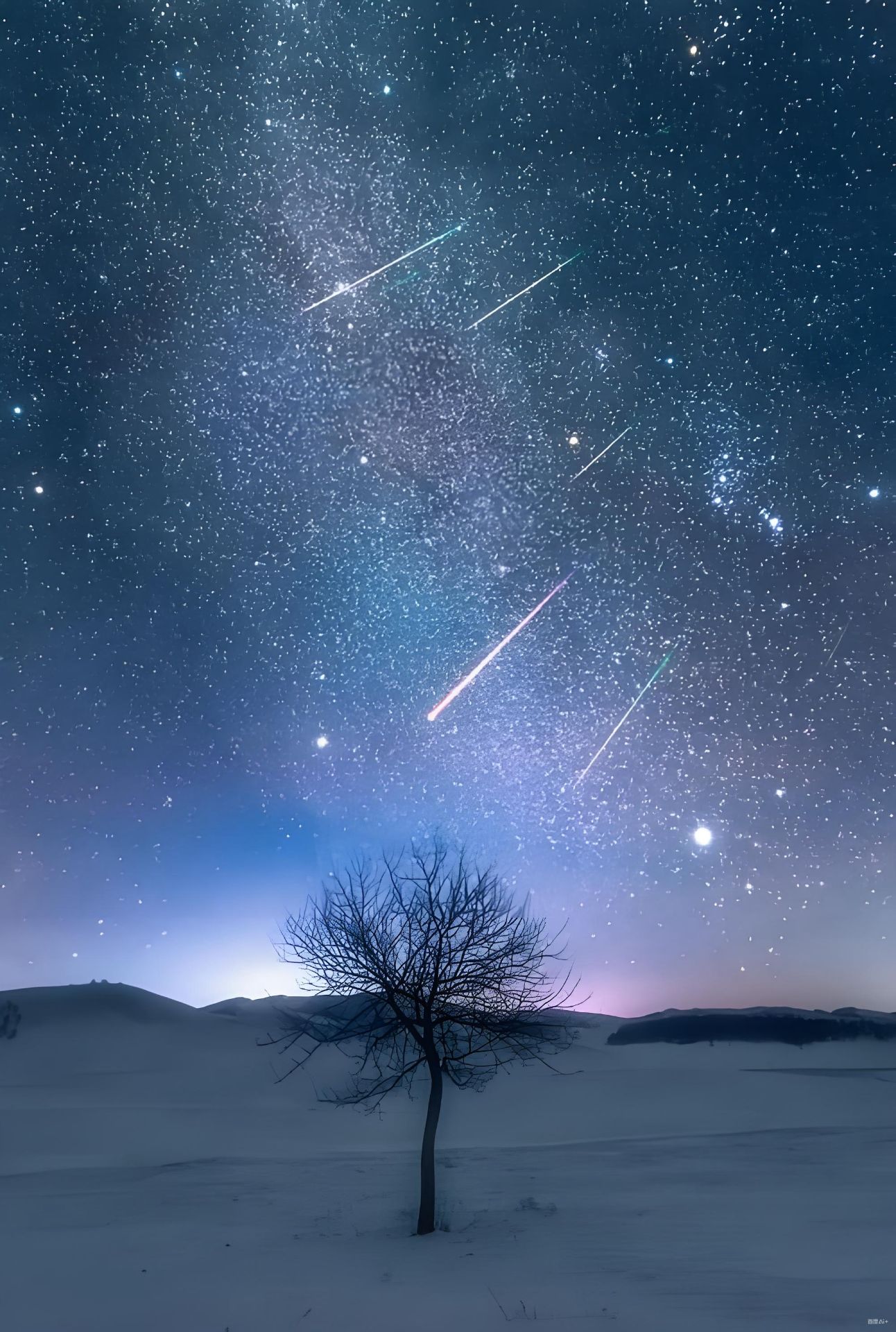 这幅画面并非一道“问题”，而是一幅充满诗意与哲思的自然艺术作品。